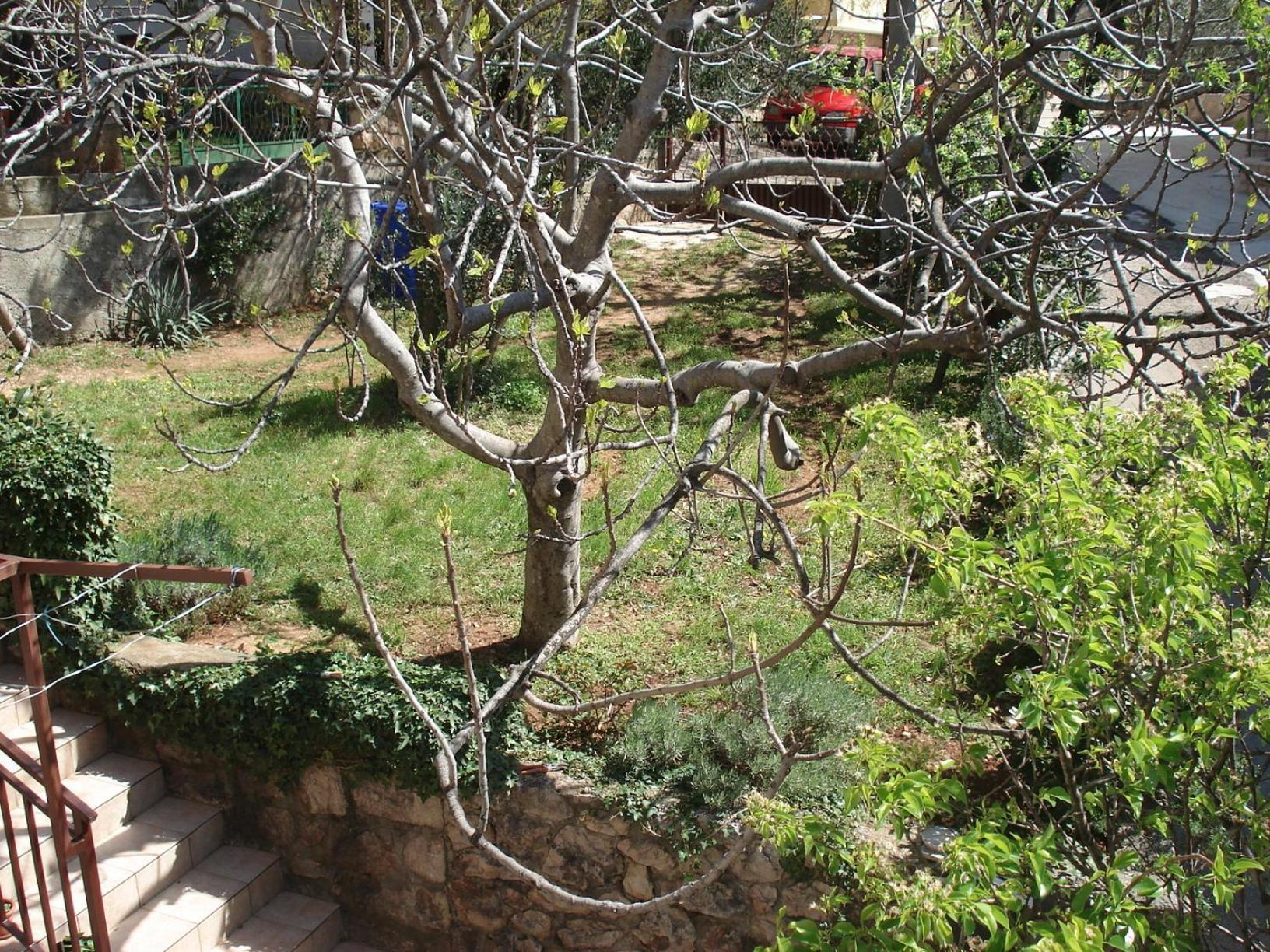 Apartments Mia Starigrad Paklenica Dış mekan fotoğraf